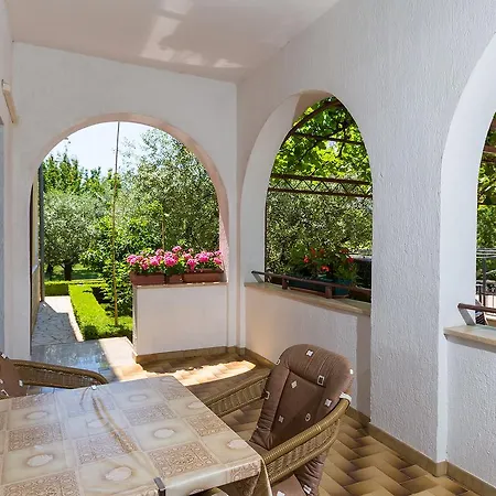 Korelic Garden بوريتش